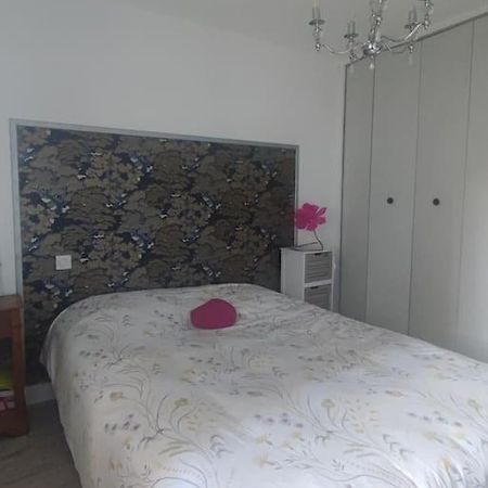 Chez Nathalie Pres De La Gare Carcassonne Ngoại thất bức ảnh