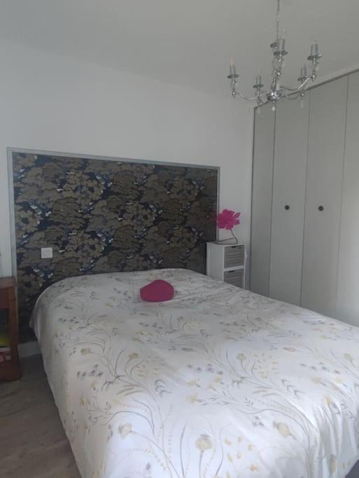 Chez Nathalie Pres De La Gare Carcassonne Ngoại thất bức ảnh