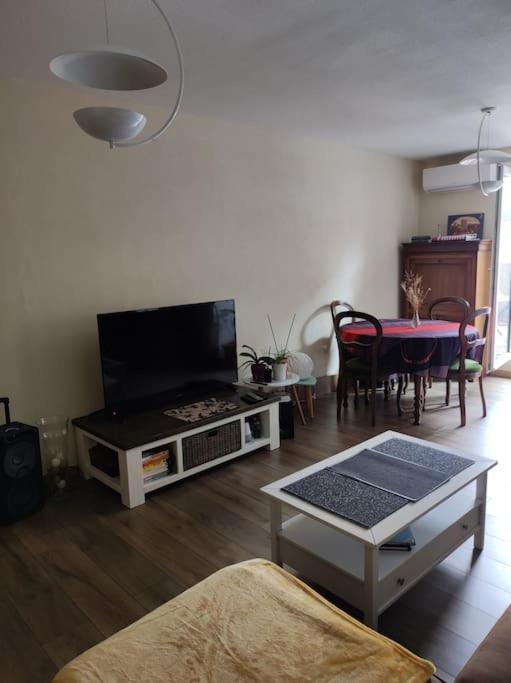Chez Nathalie Pres De La Gare Carcassonne Ngoại thất bức ảnh